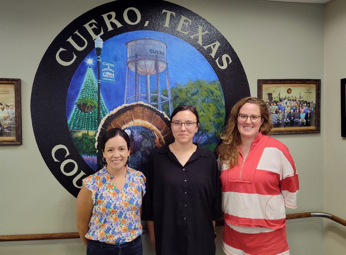 City Council hears plan for library's 'Friends' group