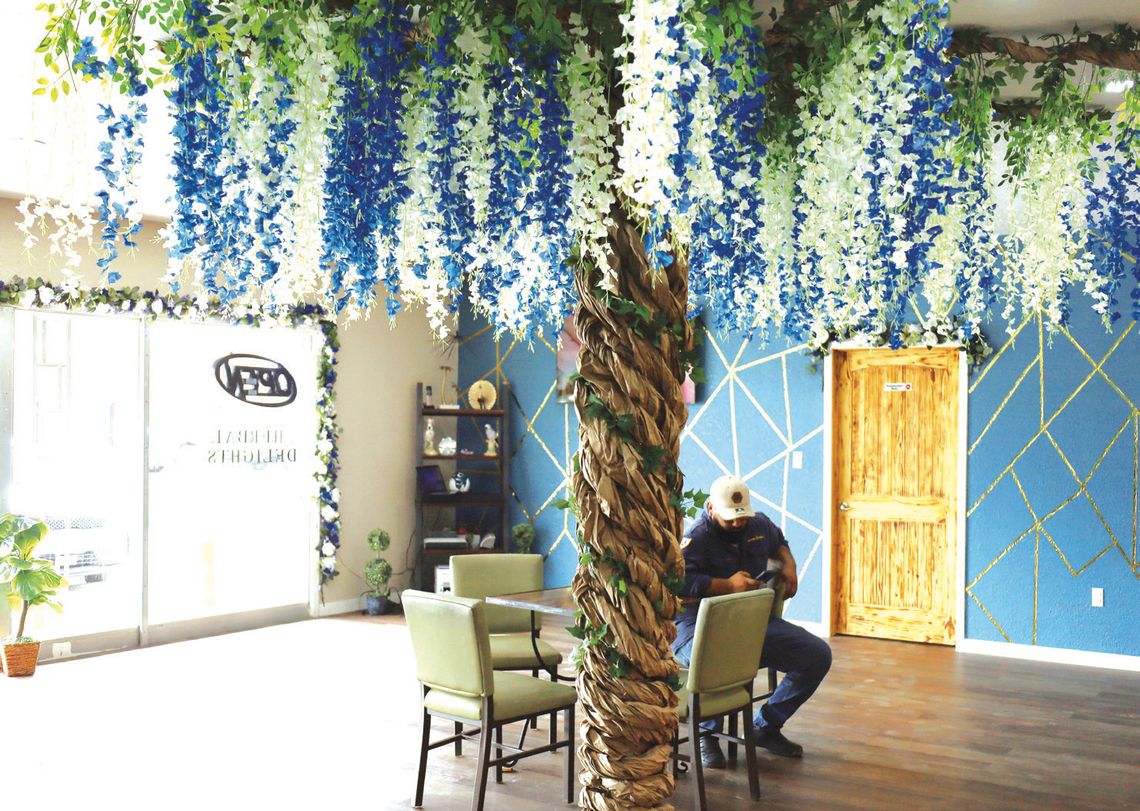 A customer waits for his “loaded tea” under the colorful paper tree in the newly opened Herbal Delights, 205 S. Esplanade. Owner Casey Salazar has a creative and modern eye, providing a grass background with a neon sign for sel_es. (Staff Photo)