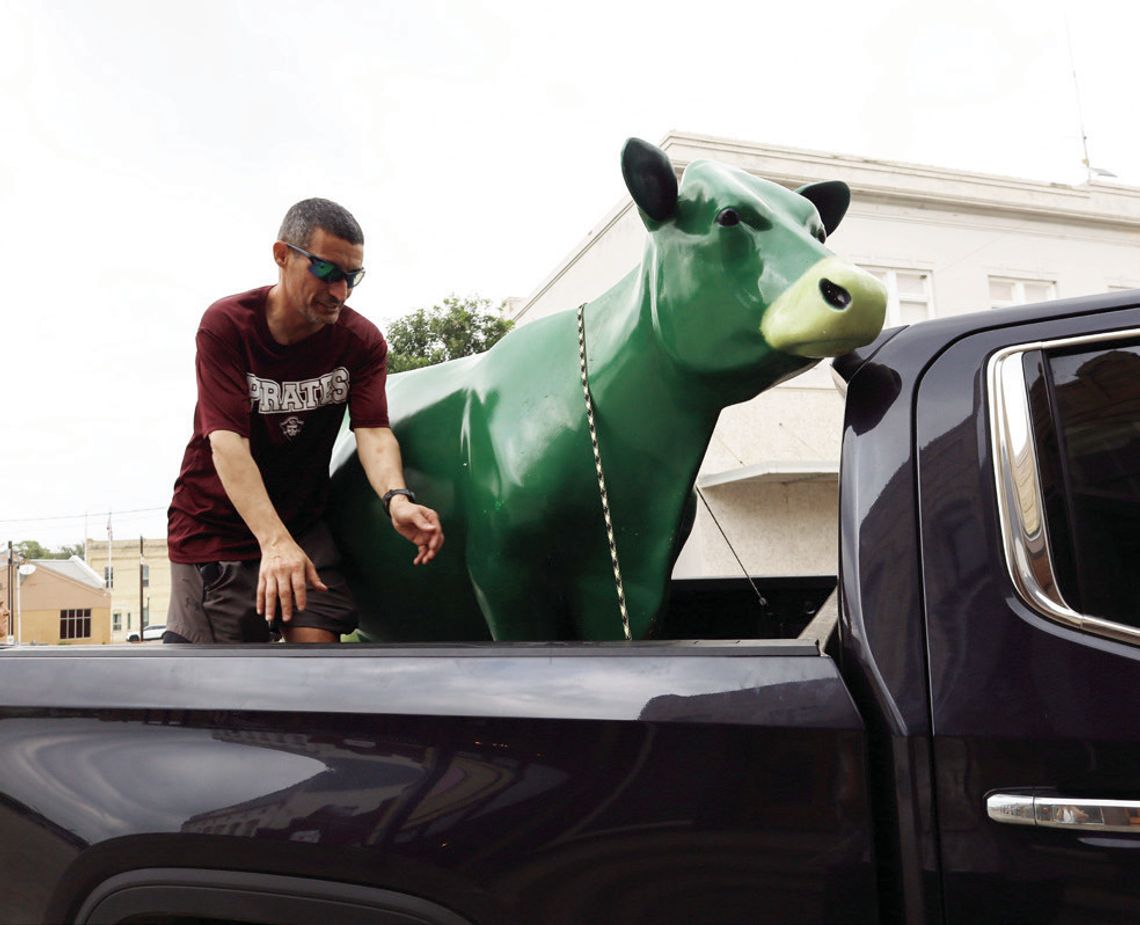 Emmy the Green Cow is mooving