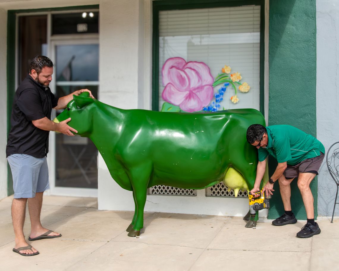 From left, Anthony Rath with the Pecan House Cafe and Rudy Rocha Rocha with the Green Cow Creamery install Emmy in her new home on the Esplanade sidewalk. (Photo by Ele Chew)