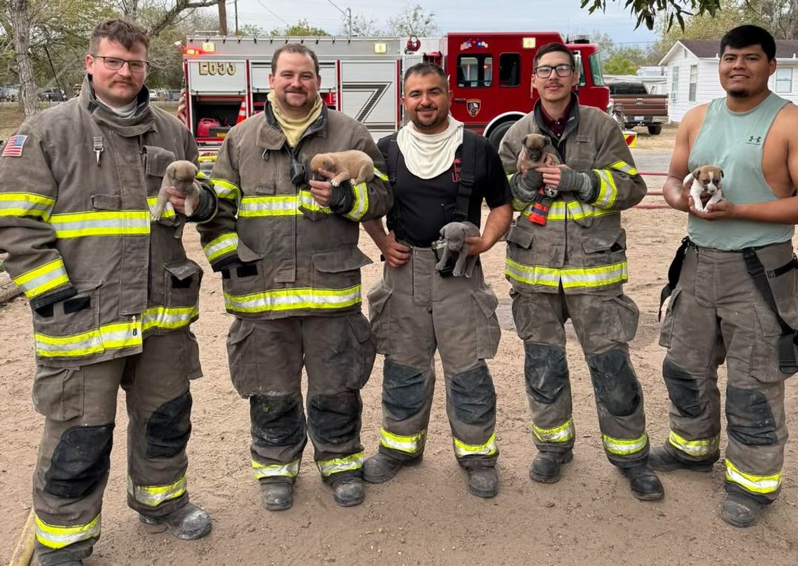 Heroes put out fire, save 5 tiny lives