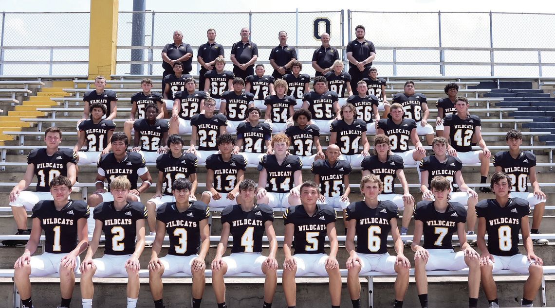 Metting, Rau lead Wildcat All-District selections