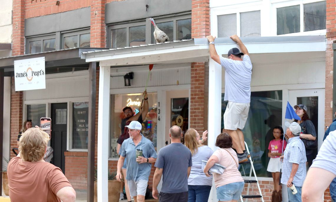 New champion soars above competition