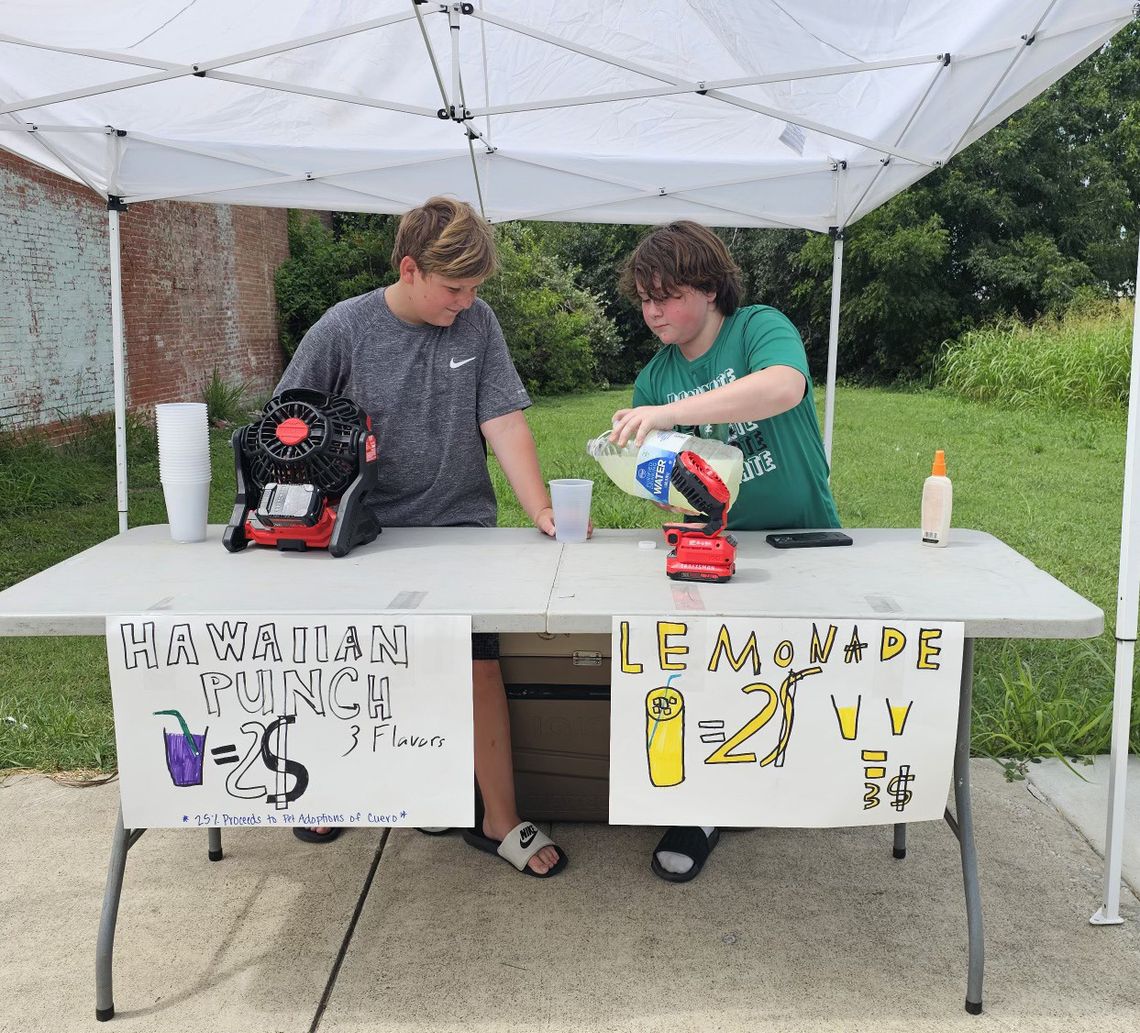 New entrepreneurs
