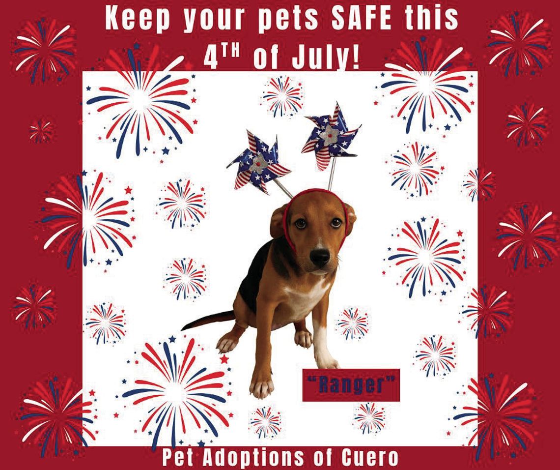 Help your pets celebrate July 4th