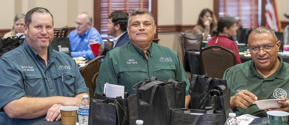 Officials discuss taxes, roads, golf carts, and crowded hospitals at chamber luncheon