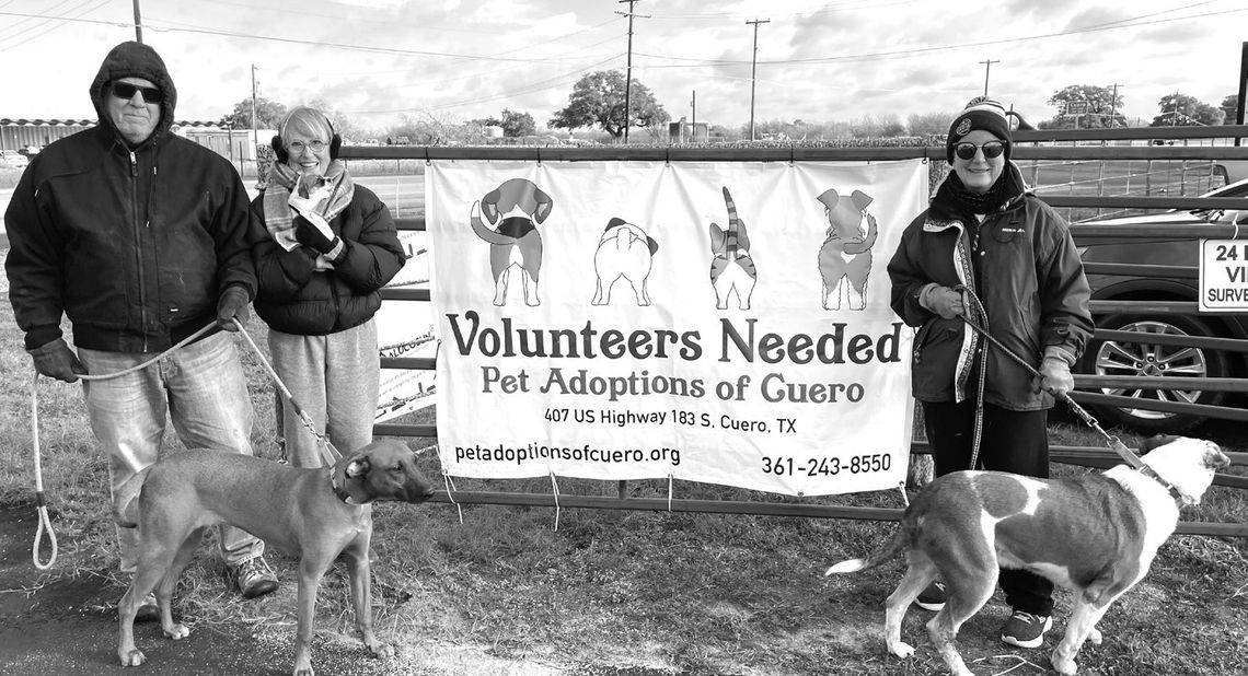 Pet shelter crew exhibits Mayor's call for volunteers in 2025