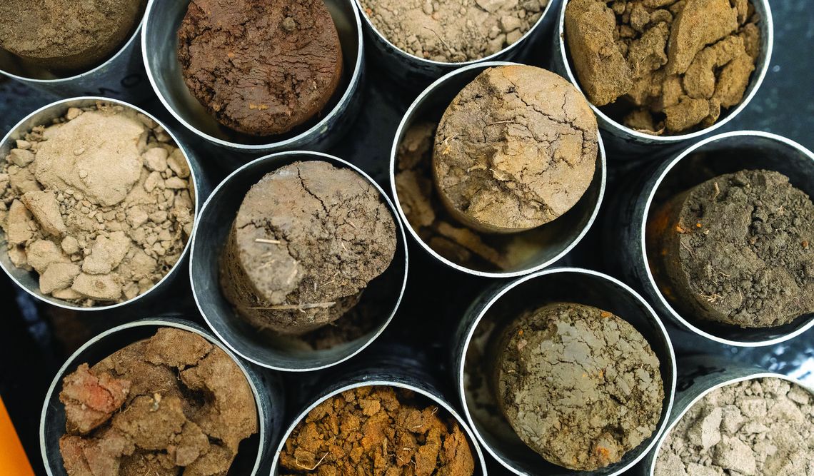 Soil testing tips for better lawns, gardens and crops this spring