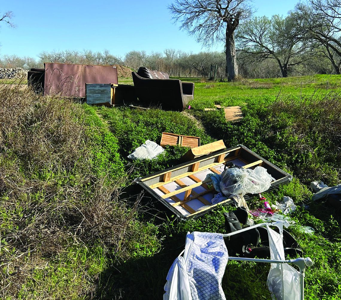 Spring Clean Up Time