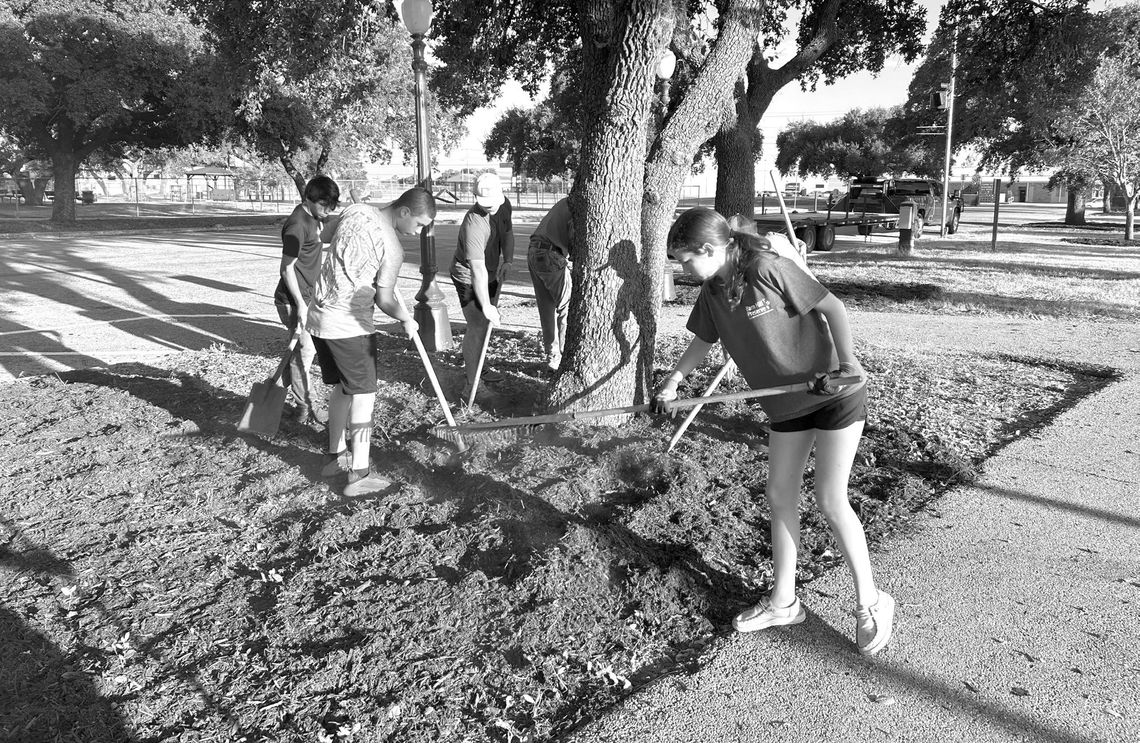 Volunteers spread mulch around a tree in the Cuero City Park in preparation for Turkeyfest. The Tree Board of Cuero organized a work day on Oct. 5 to give Cuero’s trees some TLC heading into the holiday season. (Contributed