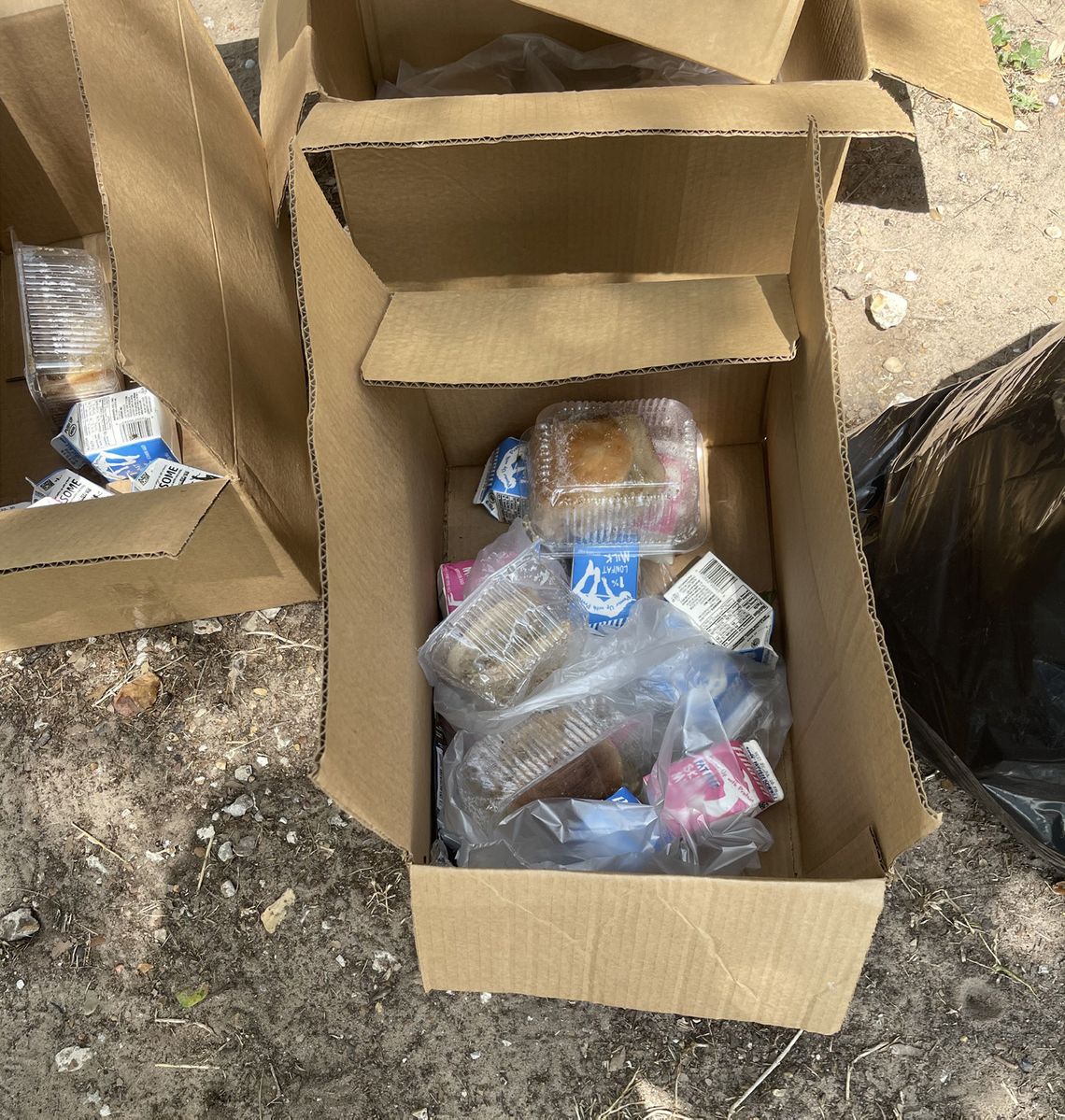 Wasted Public Food