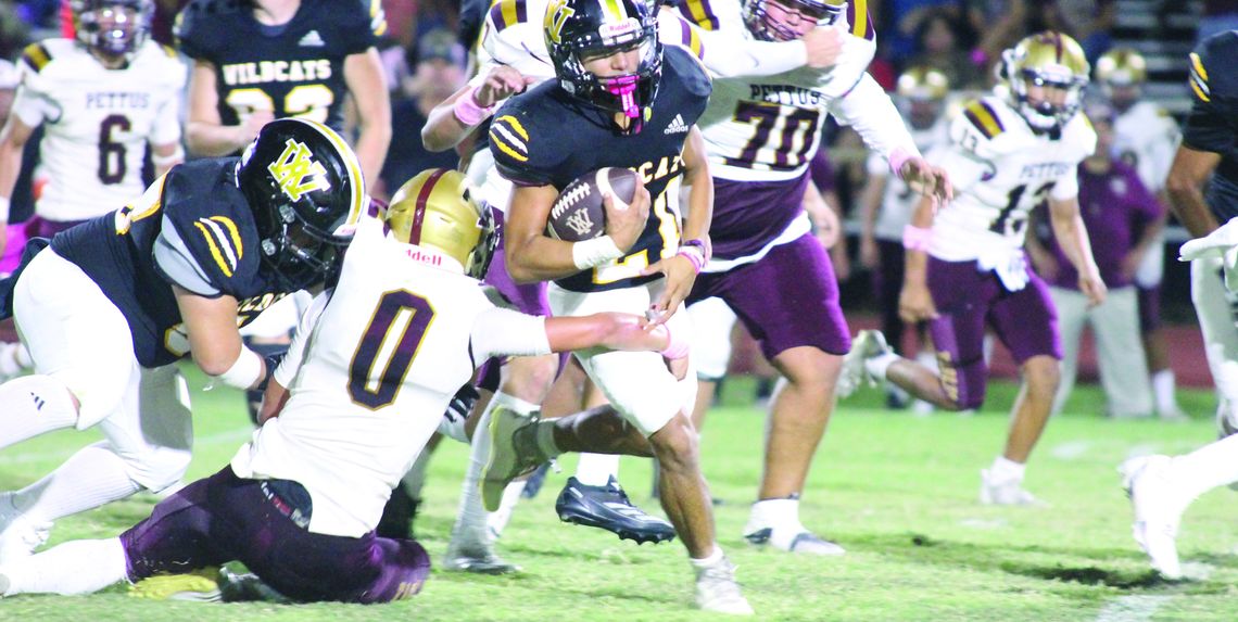 Wildcats defeather the Pettus Eagles for Homecoming