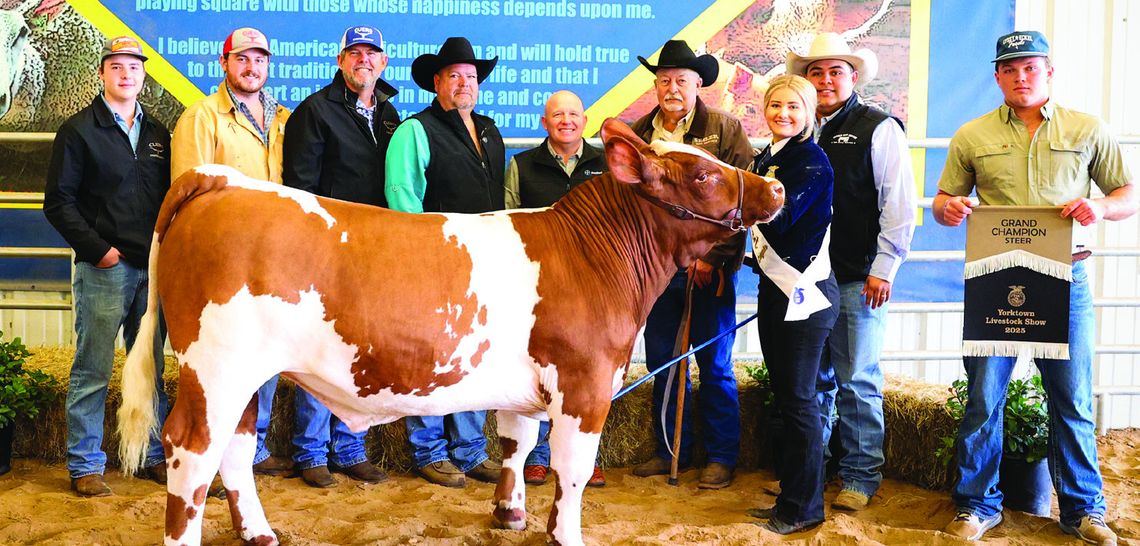 GRAND CHAMPION STEER Exhibitor: Laynie Boyd | Buckle Sponsor: Nixon Livestock; Banner Sponsor: GG Ranch | Buyers: Karnes City Auction, Arlyn &amp; Carol Seiler, Leske Oil Co., DeWItt County Producers, Cuero National Bank, Weber Motor Company, Massey Funeral Home; Cuero Livestock Market CON...