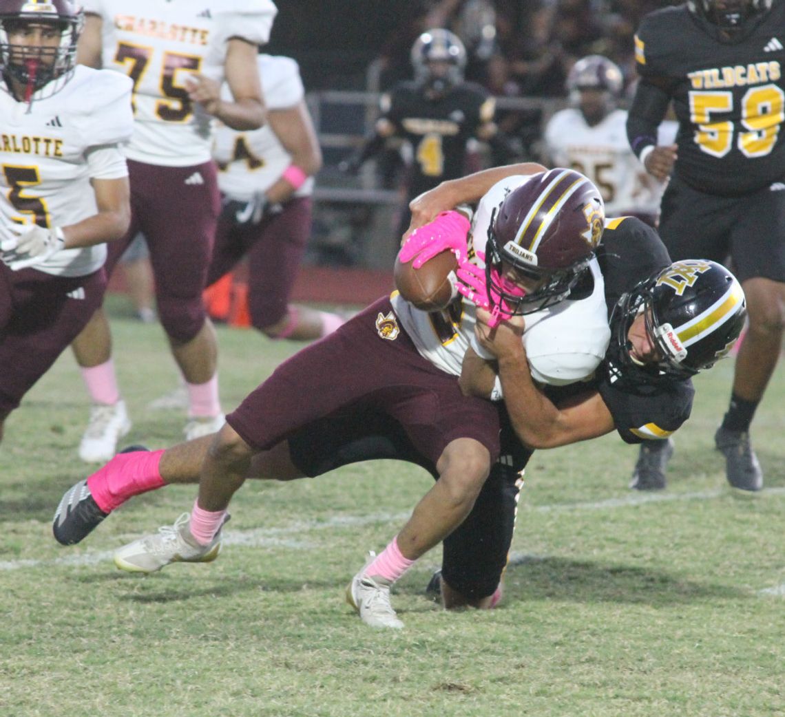 Yorktown Kitty Kats edge out Kenedy Leopards in four-set thriller