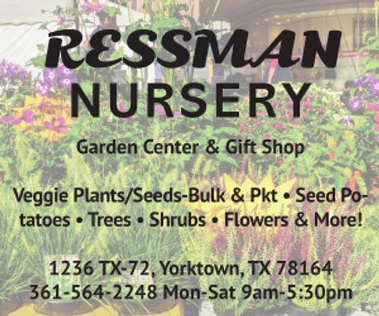 Ressman Nursury Ressman Nursury