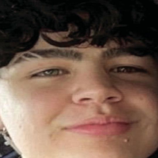 In Loving Memory of Landyn Marius Reyes